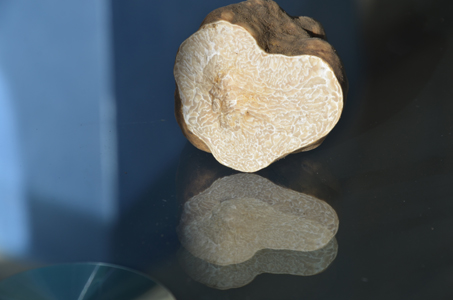 storiatartufo